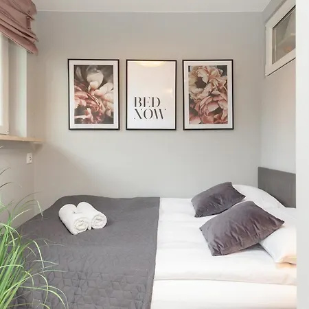 Center Near The Vistula By Renters *