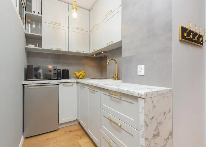 Center Near The Vistula By Renters