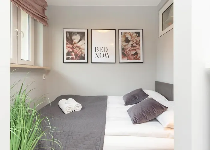 Center Near The Vistula By Renters *