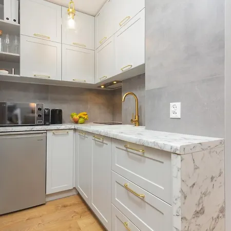 Center Near The Vistula By Renters